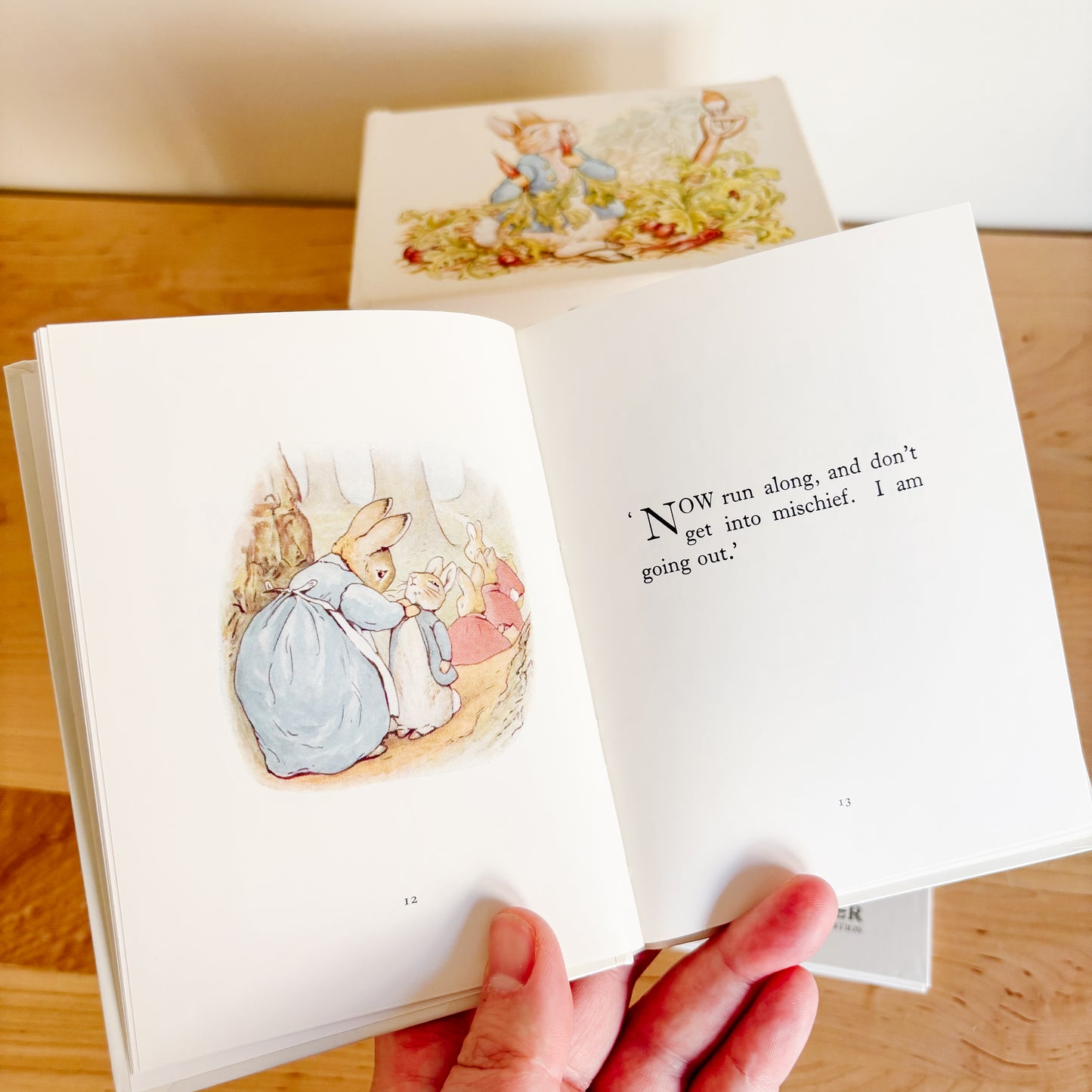 Vintage 1980s Beatrix Potter Collection Box Sets (Full Collection)