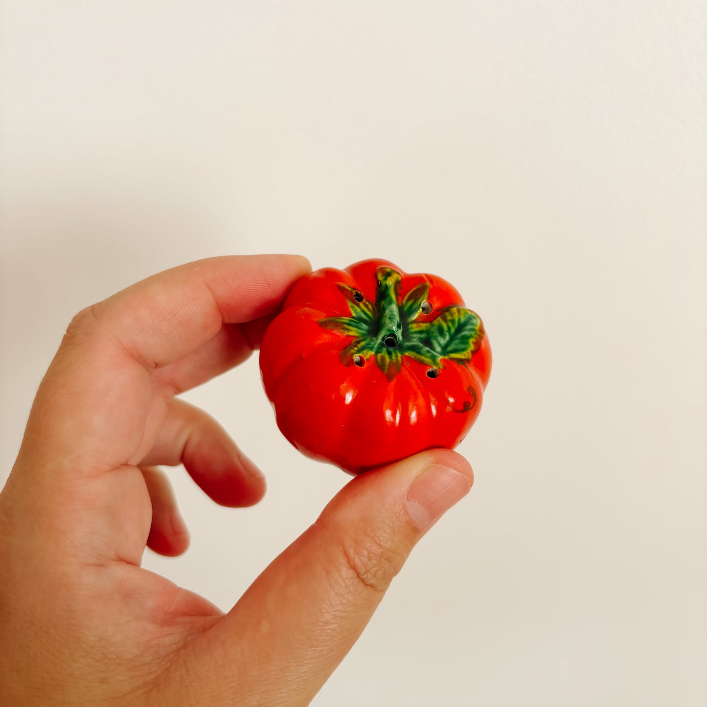 Salt & Pepper Shakers - Mini Red Tomatoes
