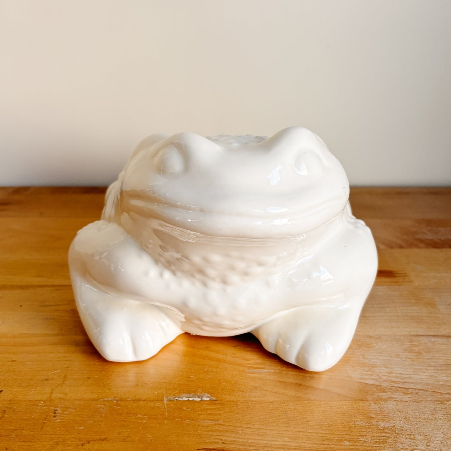 White Ceramic Toad Frog Planter (Made in Canada)