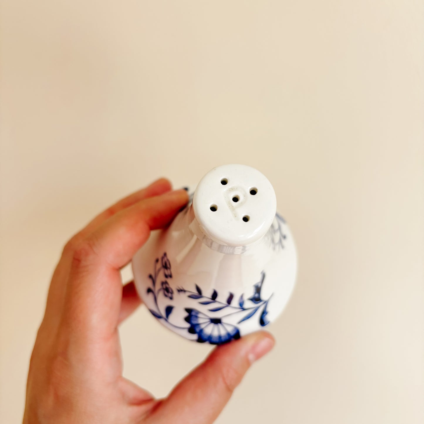 Blue Nordic/Blue Onion Salt & Pepper Shaker Set