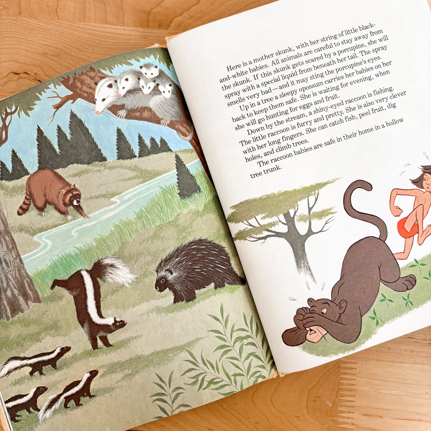 Walt Disney Animals and their Babies - Fun To Learn Library Vol 5 Hardcover Book