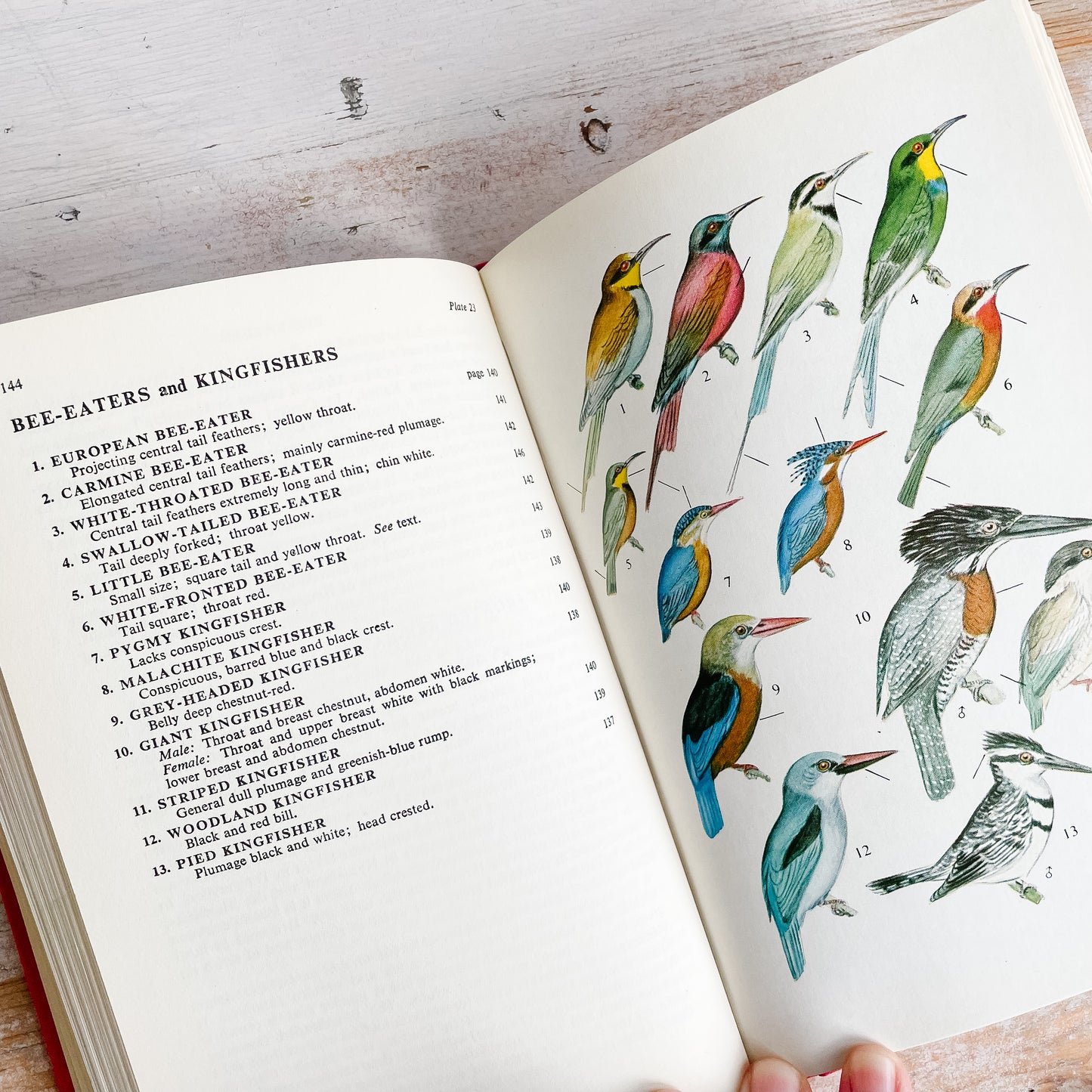 A Field Guide to the Birds of East and Central Africa by J. G. Williams (1972)