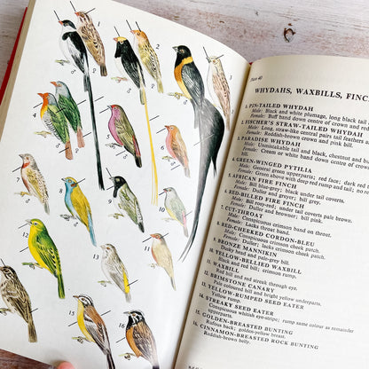 A Field Guide to the Birds of East and Central Africa by J. G. Williams (1972)