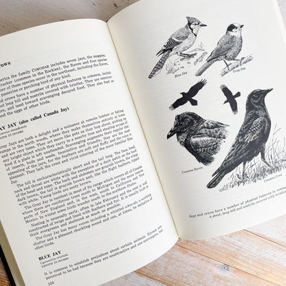 Complete Outdoorsman's Guide to Birds of Canada and Eastern North America by John Mackenzie (1976)