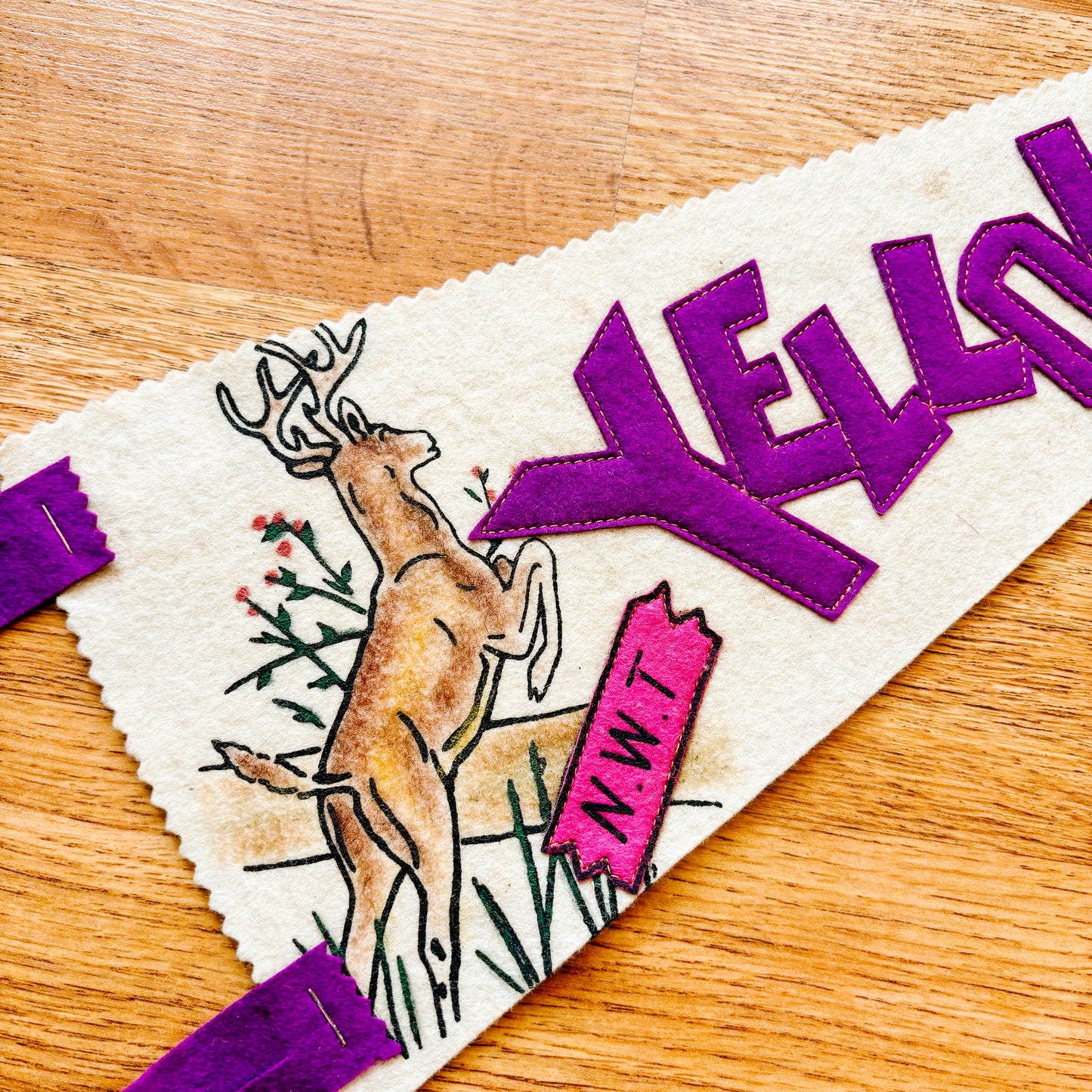 Yellowknife Northwest Territories White and Purple Felt Pennant