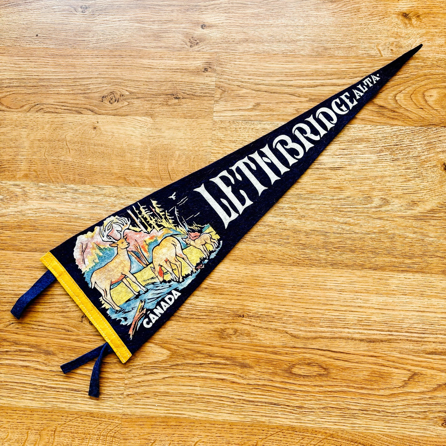 Lethbridge Alberta Navy Felt Pennant