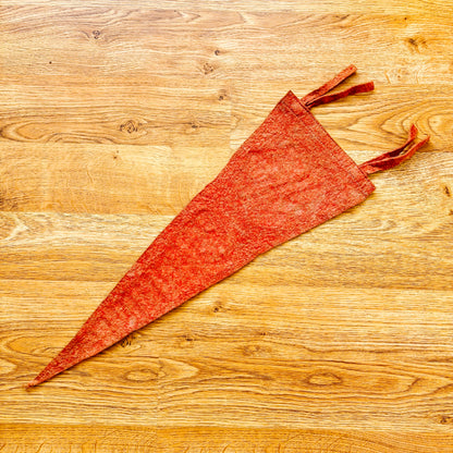 Winnipeg Manitoba Red Felt Pennant