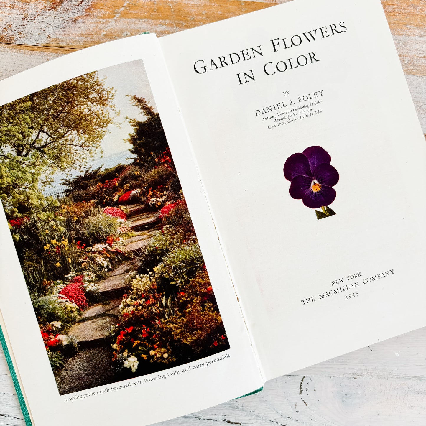 Garden Flowers in Color by Daniel J. Foley (Hardcover, 1943)