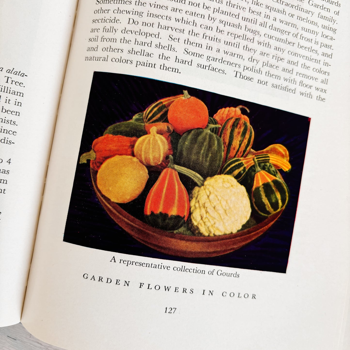 Garden Flowers in Color by Daniel J. Foley (Hardcover, 1943)