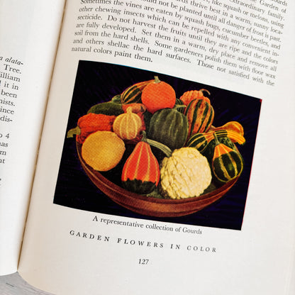 Garden Flowers in Color by Daniel J. Foley (Hardcover, 1943)