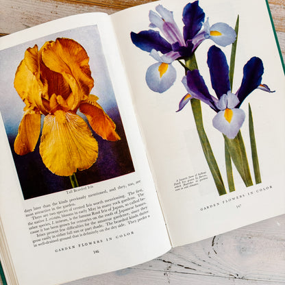 Garden Flowers in Color by Daniel J. Foley (Hardcover, 1943)