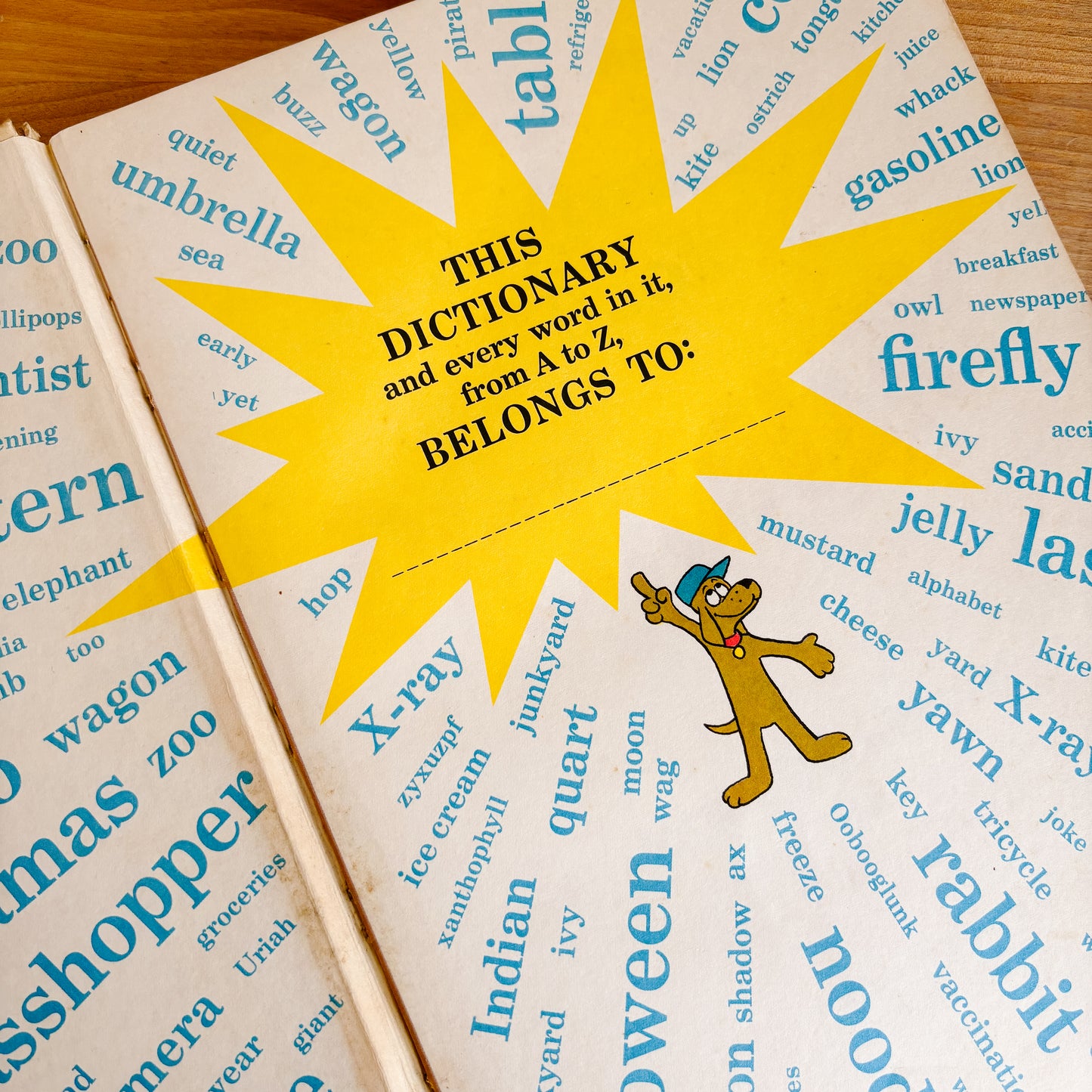 Dr. Seuss The Cat in the Hat Dictionary (1st edition 1964)