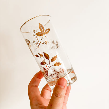 MCM Gold Leaf Highball Glasses with Caddy (Set of 8)