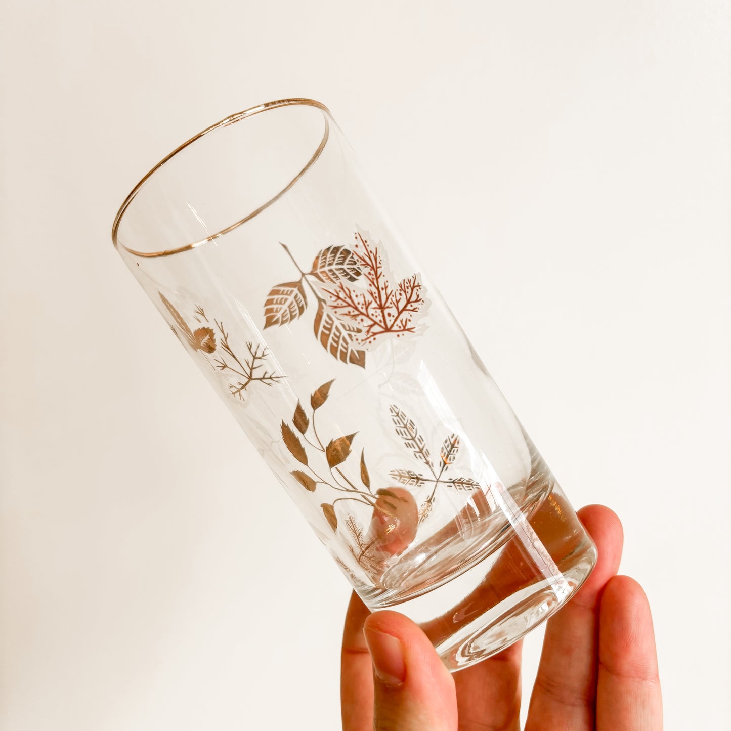 MCM Gold Leaf Highball Glasses with Caddy (Set of 8)