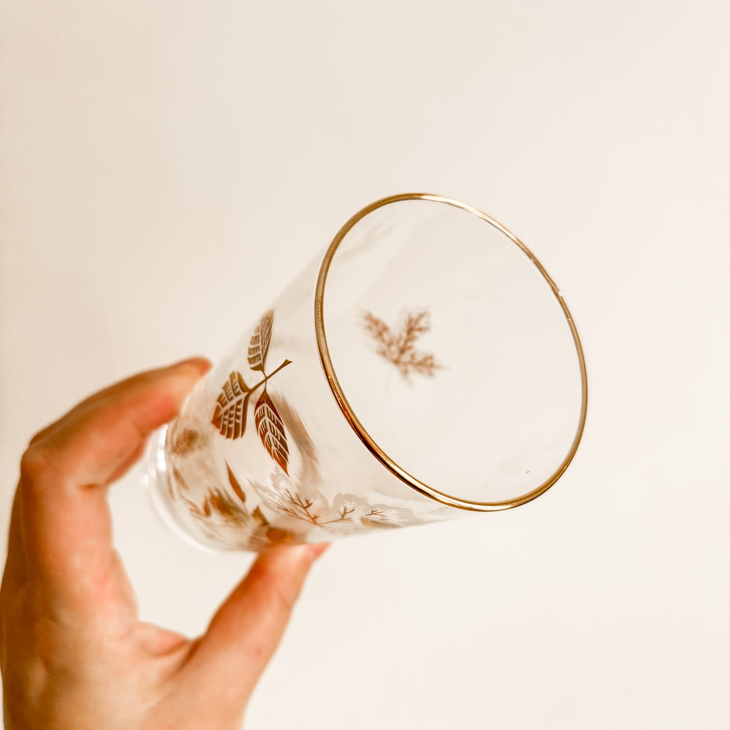 MCM Gold Leaf Highball Glasses with Caddy (Set of 8)