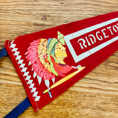 Ridgetown Ontario 1960s Red Felt Pennant