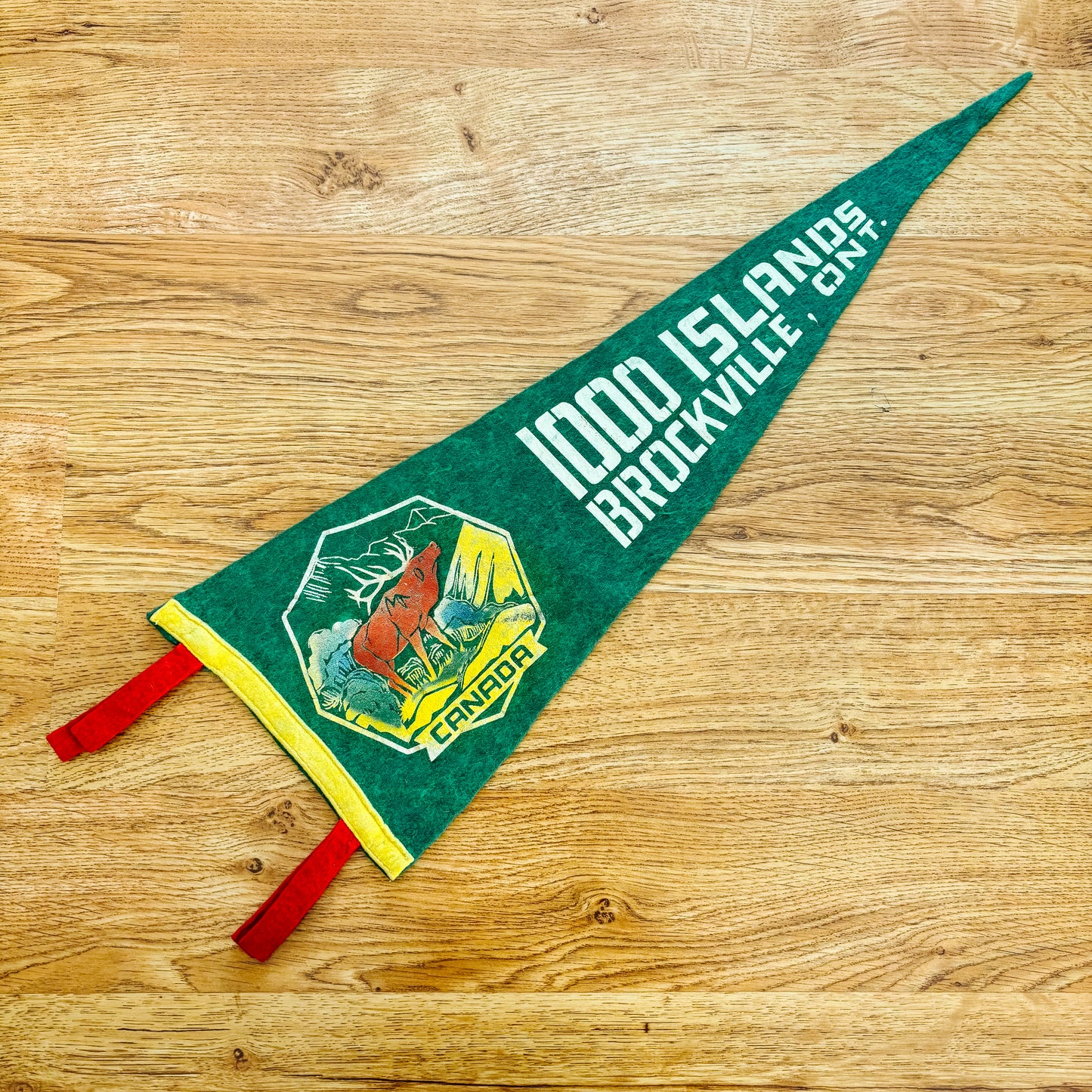 Brockville Ontario 1960s Green Felt Pennant