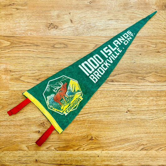 Brockville Ontario 1960s Green Felt Pennant