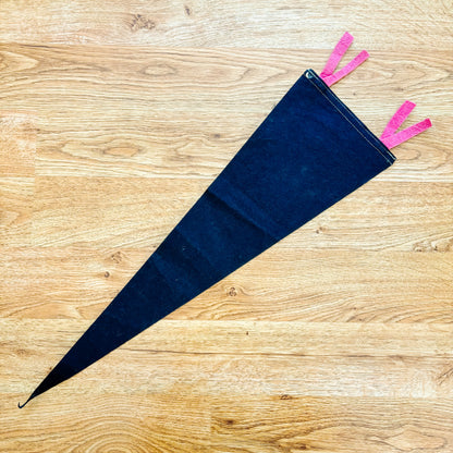 Finch Ontario 1960s Navy Blue Felt Pennant