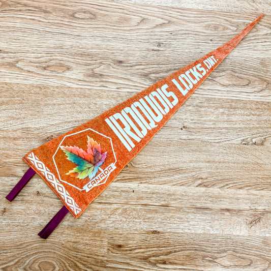 Iroquois Locks Ontario 1960s Red Felt Pennant
