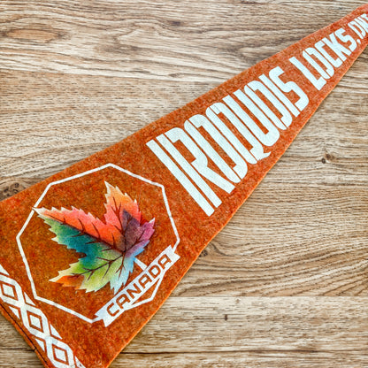 Iroquois Locks Ontario 1960s Red Felt Pennant