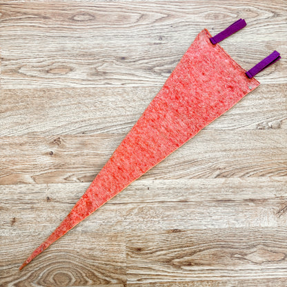 Iroquois Locks Ontario 1960s Red Felt Pennant