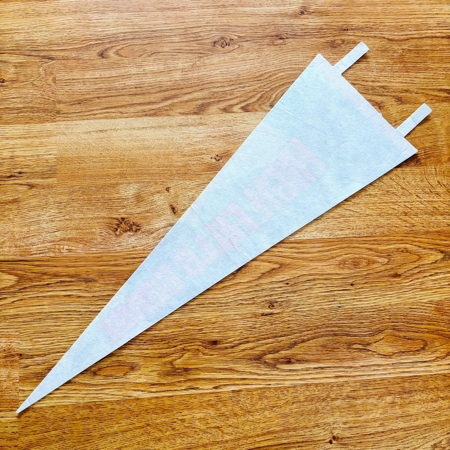 High Falls Gorge Adirondacks New York 1960s Felt Pennant