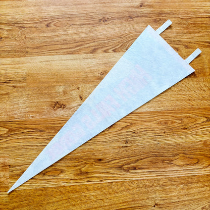 High Falls Gorge Adirondacks New York 1960s Felt Pennant