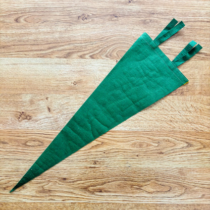 Magnetic Hill New Brunswick 1960s Green Felt Pennant