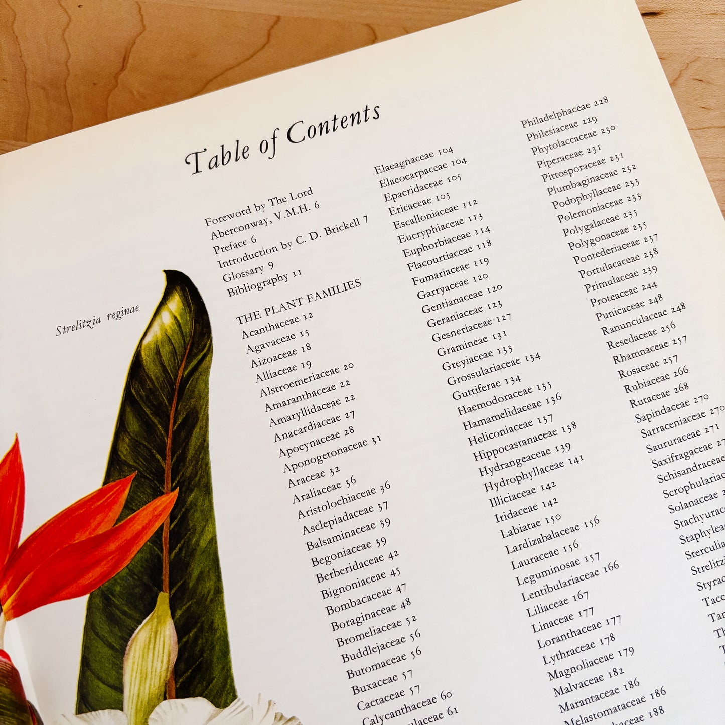 Frances Perry - Flowers of the World (XL Hardcover, 1972)