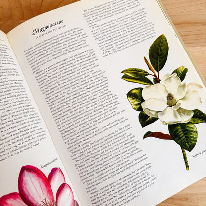 Frances Perry - Flowers of the World (XL Hardcover, 1972)