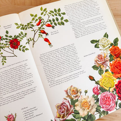 Frances Perry - Flowers of the World (XL Hardcover, 1972)