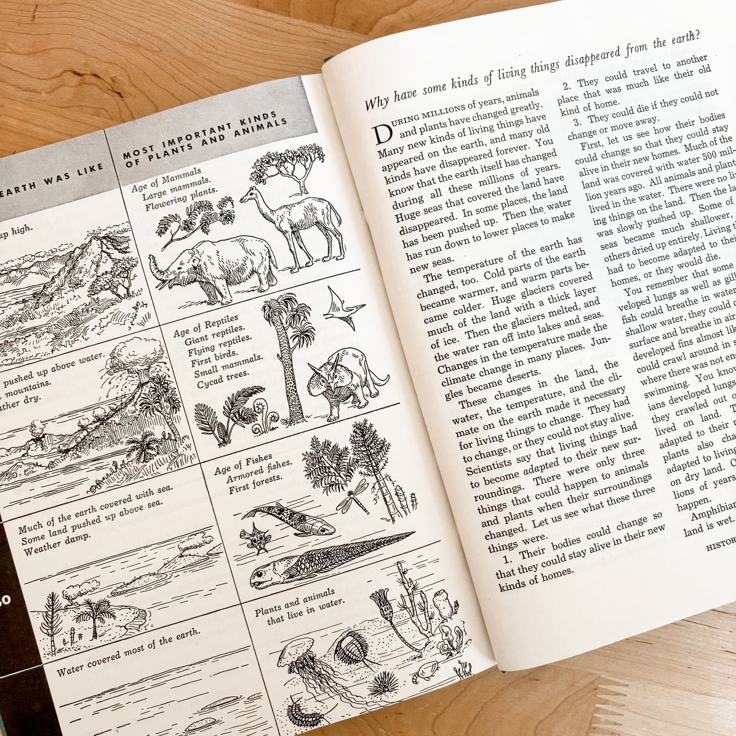 Discovering our World 3: Science for the Middle Grades (1940s)