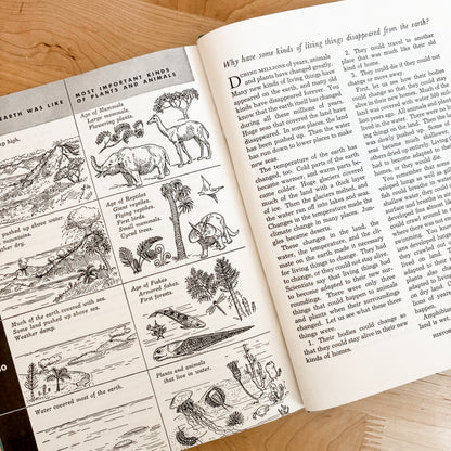 Discovering our World 3: Science for the Middle Grades (1940s)