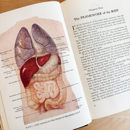 Vintage Book - Modern Medical Counselor: A Practical Guide to Health (1950)