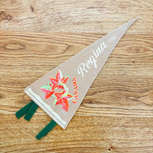 Regina Saskatchewan 1960s Beige Felt Pennant