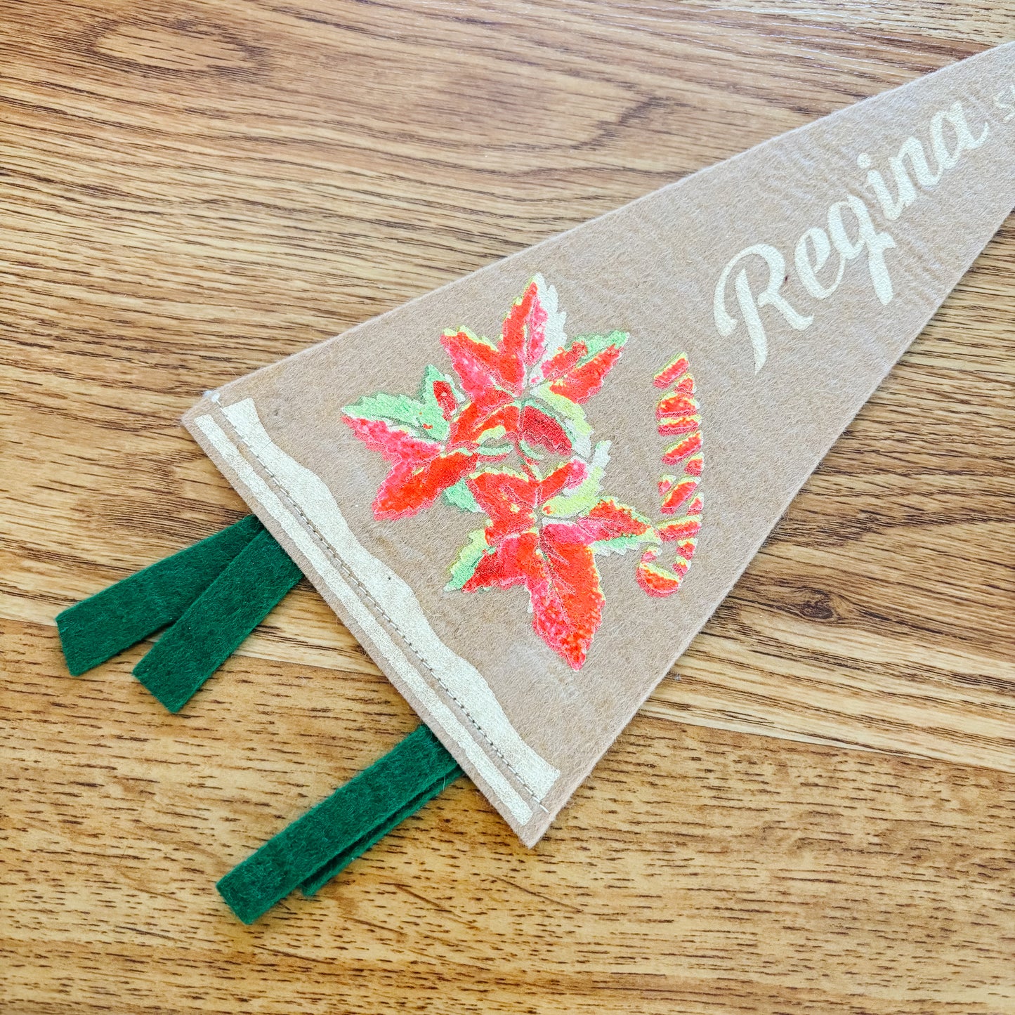 Regina Saskatchewan 1960s Beige Felt Pennant
