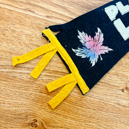 Plage Laval Quebec 1960s Navy Blue Felt Pennant