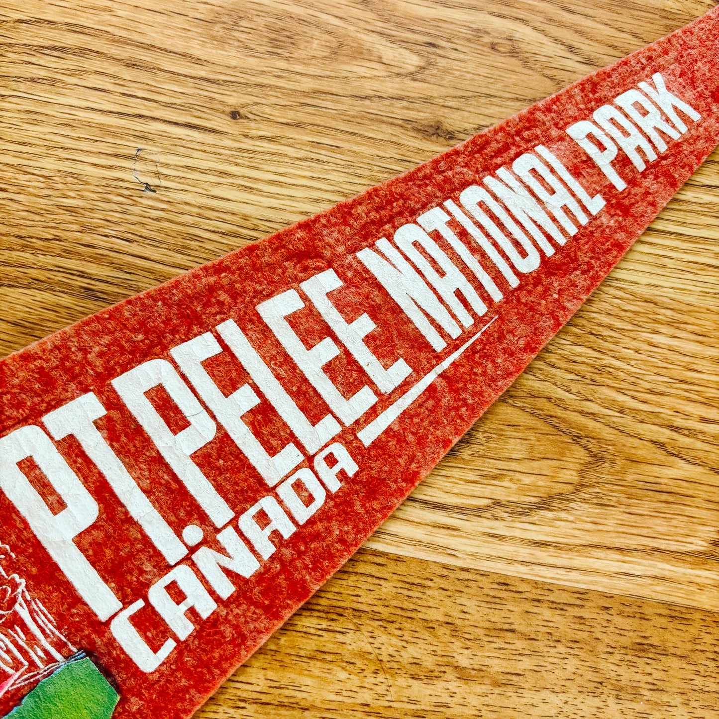 Point Pelee National Park Ontario 1960s Red Felt Pennant