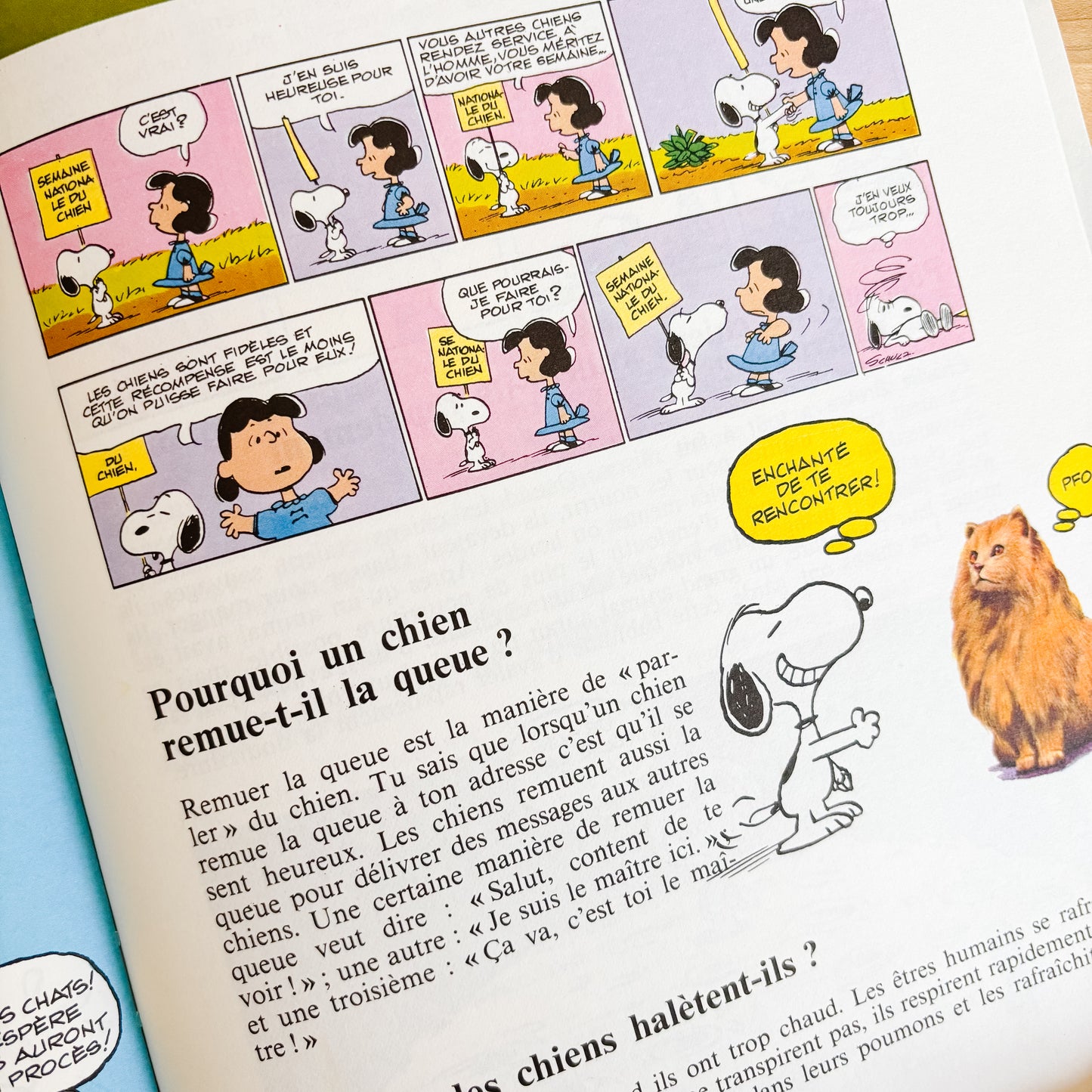 Le grand livre des questions et réponses de Charlie Brown (French Hardcover, 1982)