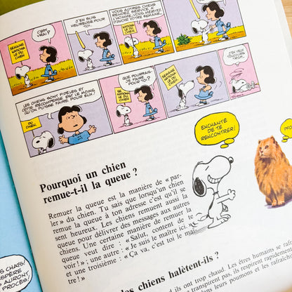 Le grand livre des questions et réponses de Charlie Brown (French Hardcover, 1982)