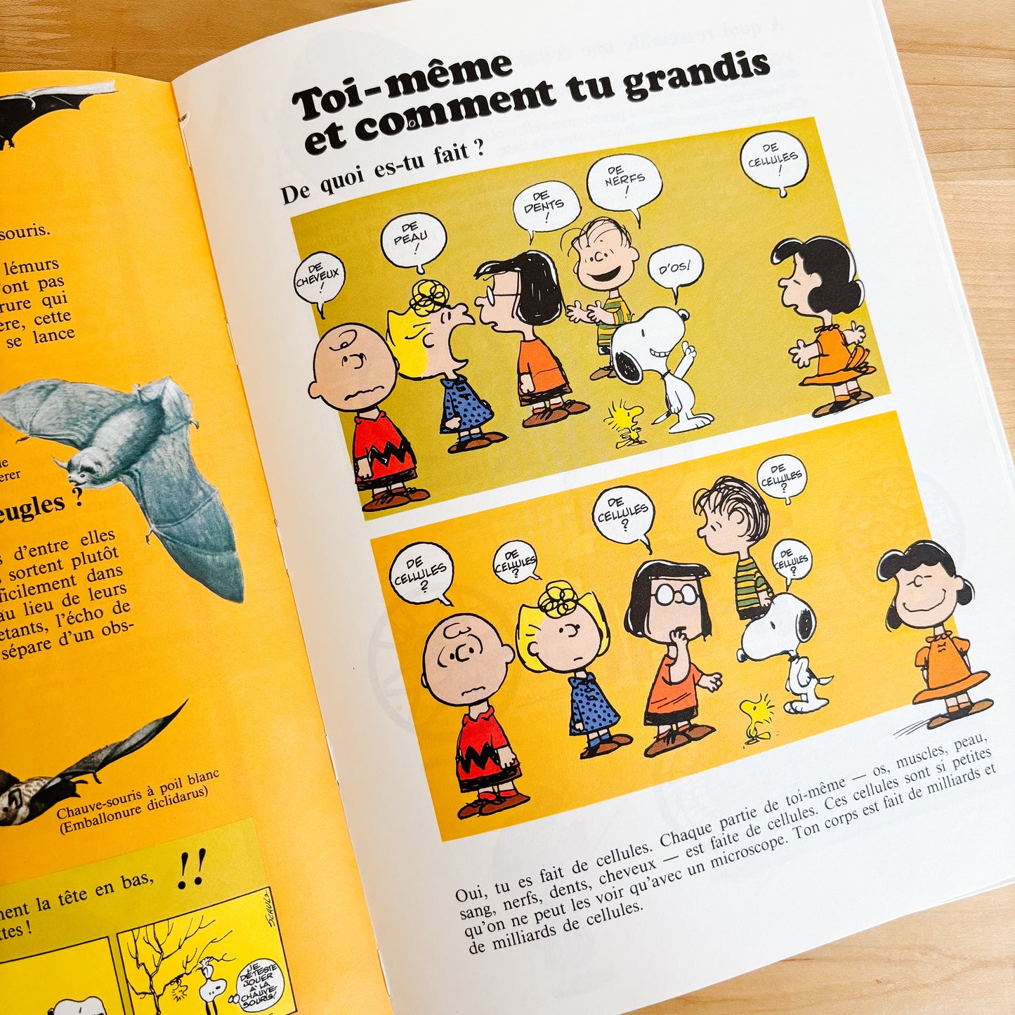 Le grand livre des questions et réponses de Charlie Brown (French Hardcover, 1982)