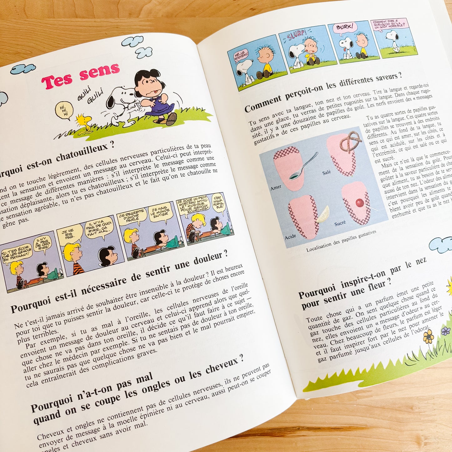 Le grand livre des questions et réponses de Charlie Brown (French Hardcover, 1982)