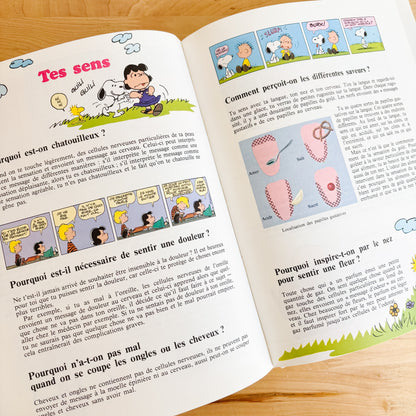 Le grand livre des questions et réponses de Charlie Brown (French Hardcover, 1982)
