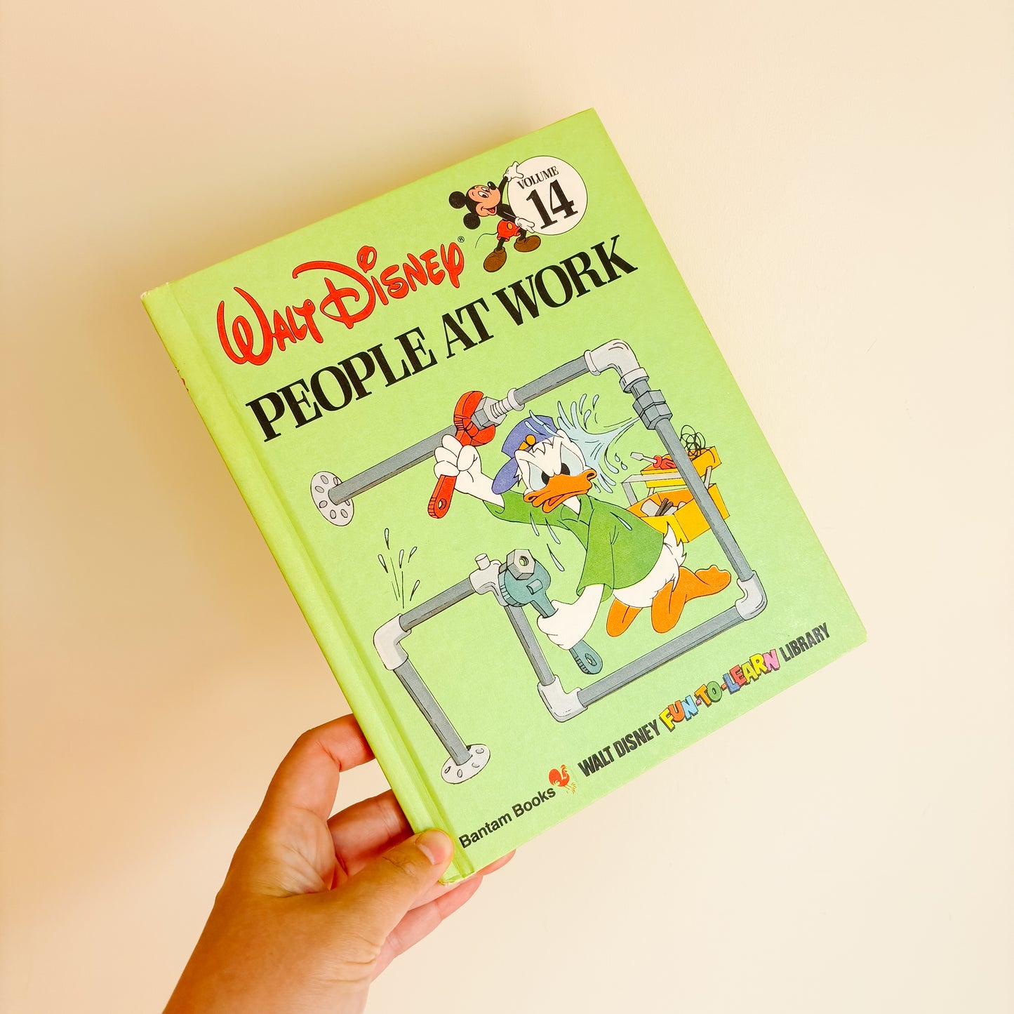 Walt Disney People at Work - Fun To Learn Library Vol 14 Hardcover Book