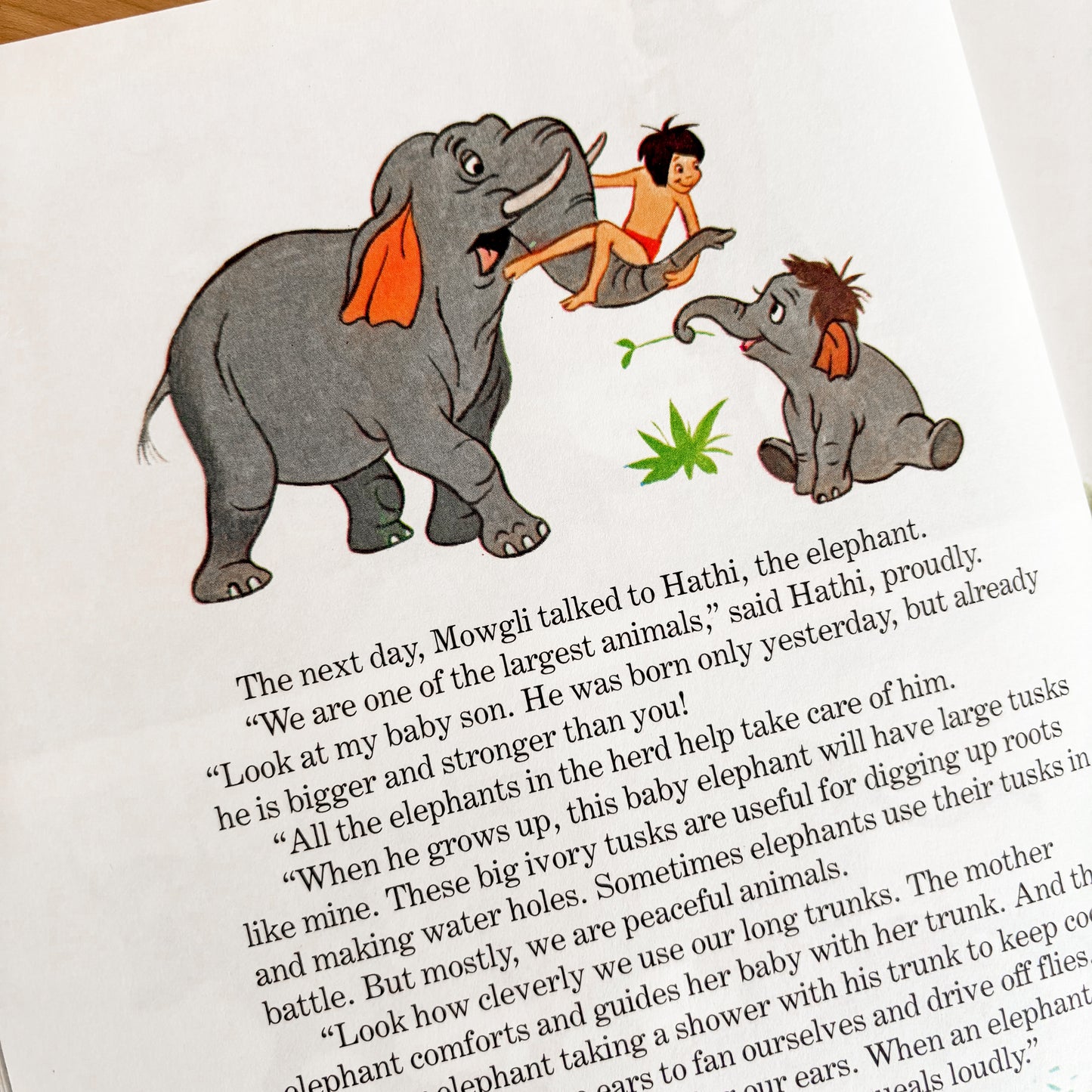 Walt Disney Animals and their Babies - Fun To Learn Library Vol 5 Hardcover Book