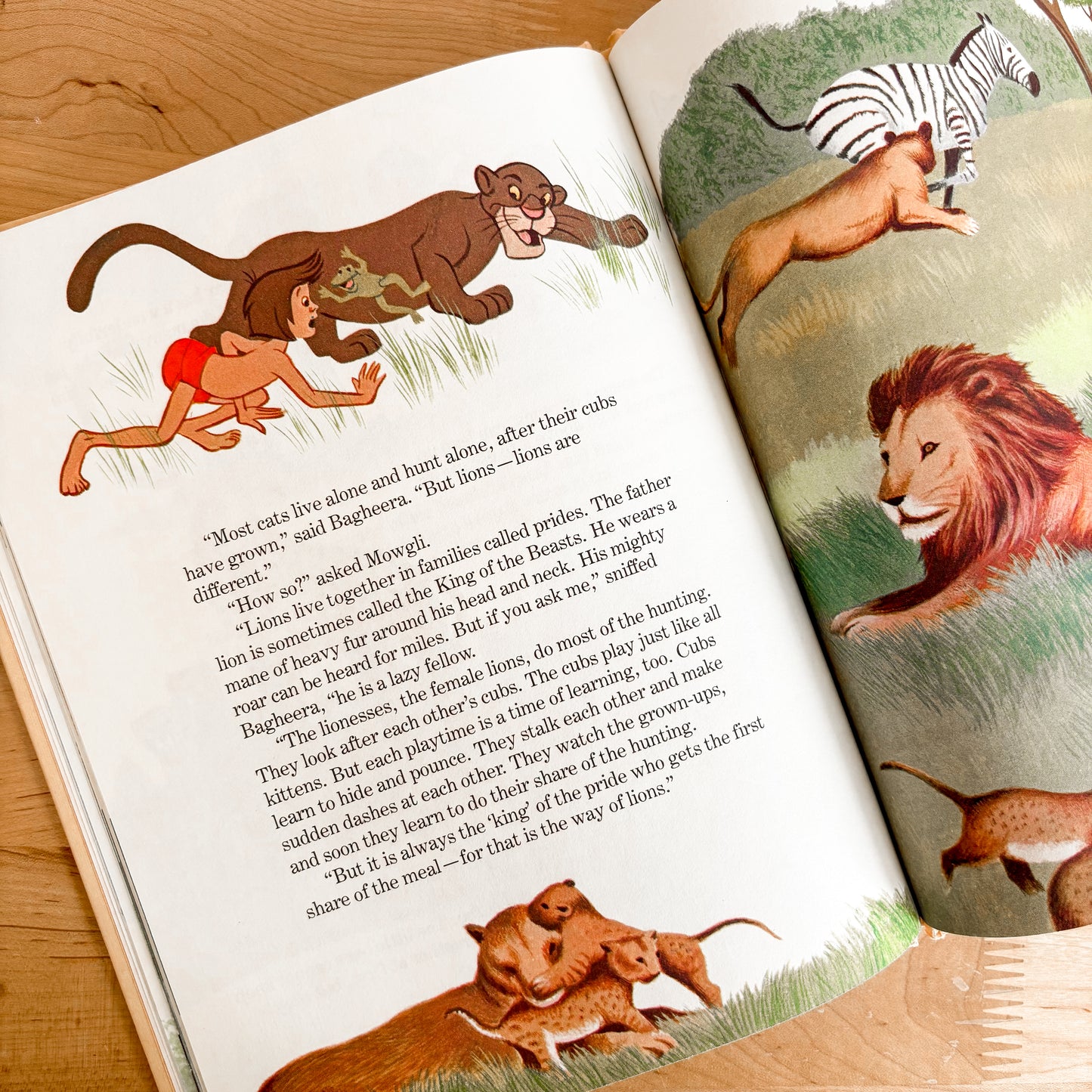 Walt Disney Animals and their Babies - Fun To Learn Library Vol 5 Hardcover Book