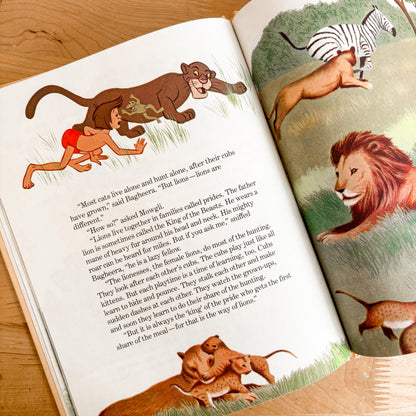 Walt Disney Animals and their Babies - Fun To Learn Library Vol 5 Hardcover Book