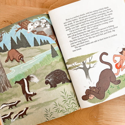 Walt Disney Animals and their Babies - Fun To Learn Library Vol 5 Hardcover Book