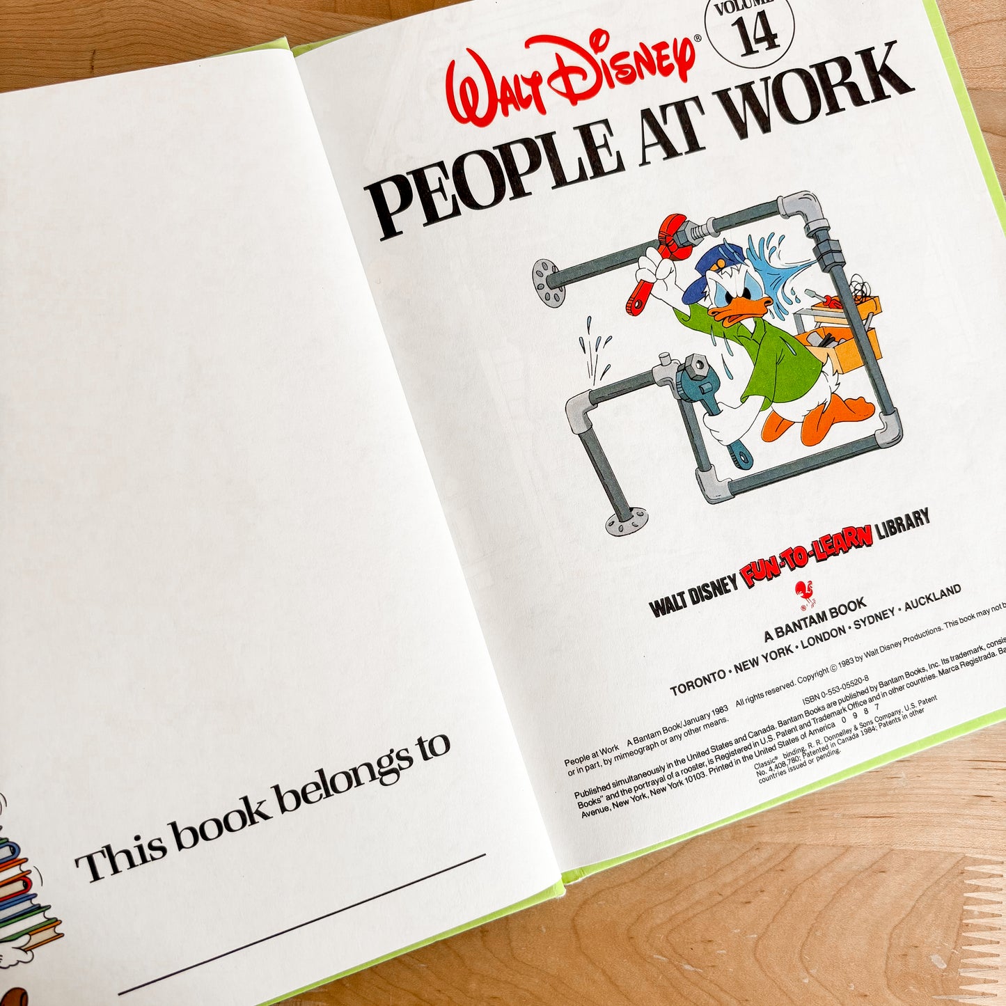 Walt Disney People at Work - Fun To Learn Library Vol 14 Hardcover Book